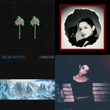 Album art cover for Barbarian Streisand playlist