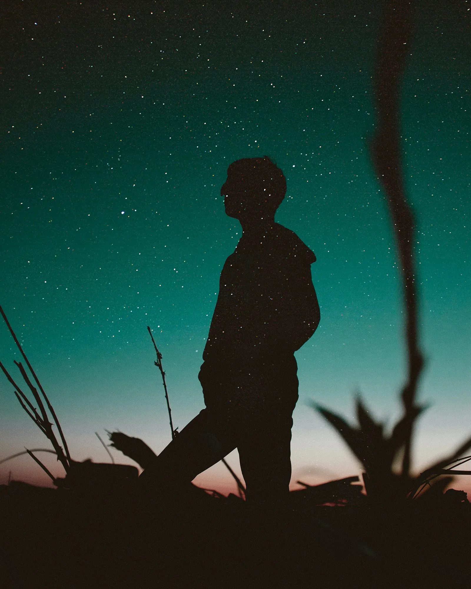 silhouette of standing man under starry sky