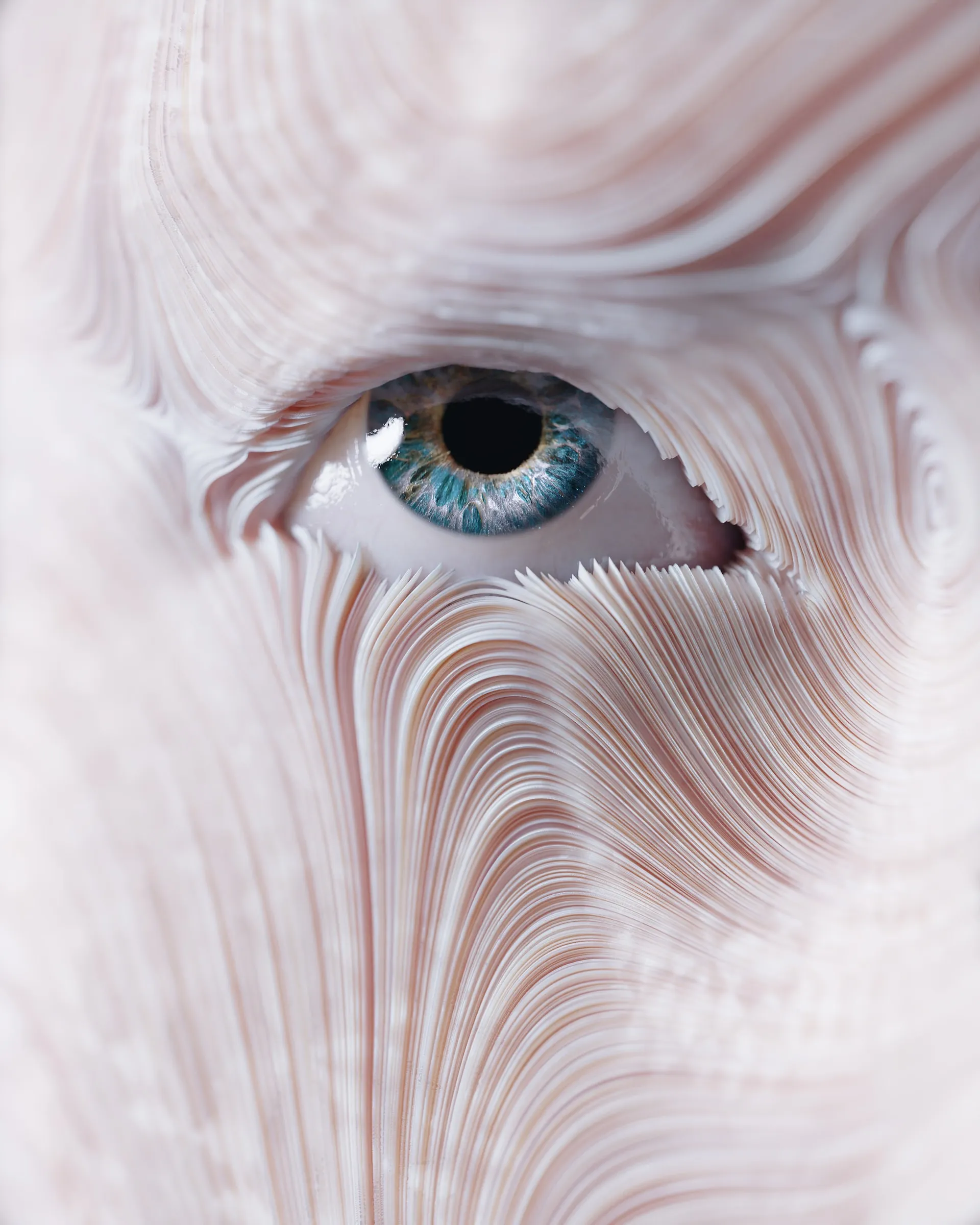 close-up of eye surrounded by fur